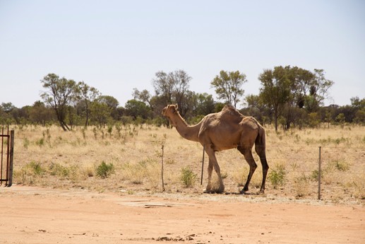 Australia 2014